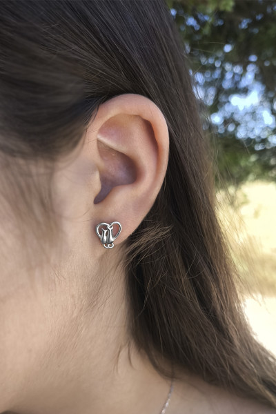 SET FELINIA + CADENA FORZADA (45 CM)